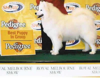 Best Puppy in Group – Melbourne Royal 2003