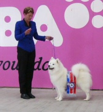 Best in Show – Southland Kennel Association New Zealand 2005