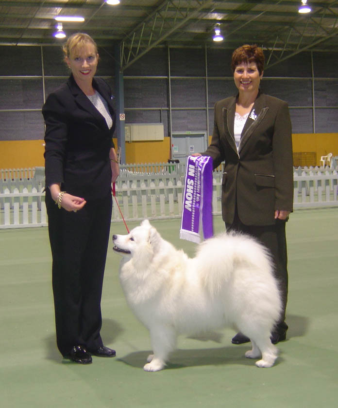 Reserve in Show – Auckland Provincial Samoyed Association 2005