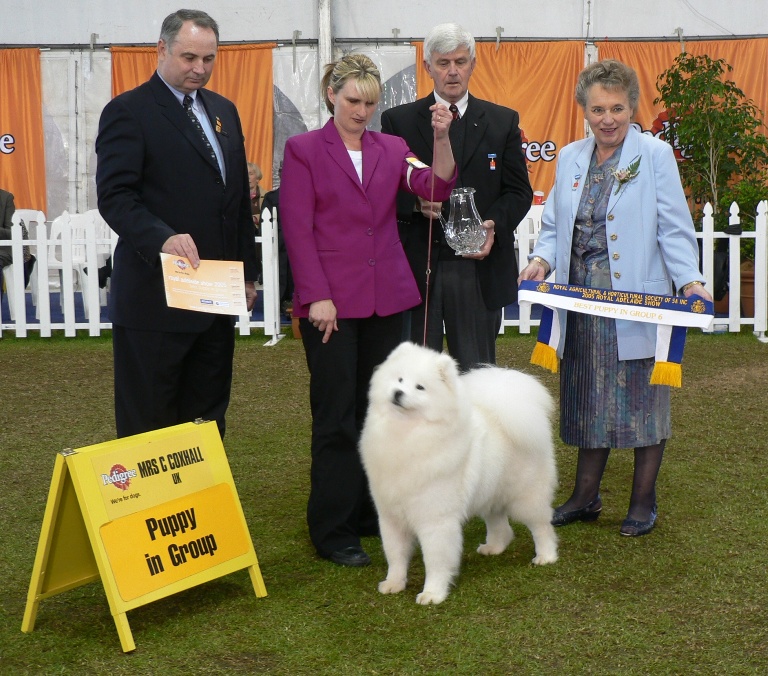 Puppy in Group – Adelaide Royal 2005