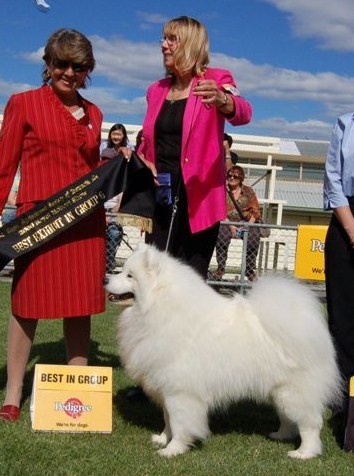 Samoyed Club of Victoria Point Scores 2006
