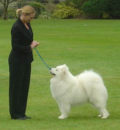 Astro First Shows – April 2007
