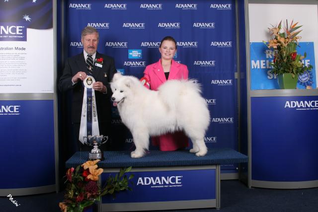Astro Puppy Class Success – 2007