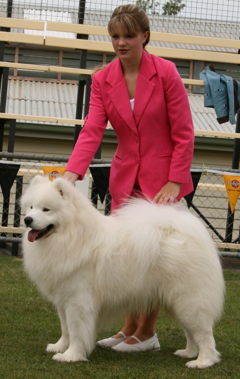 Challenge Dog – Australia Day International Dog Club 2009