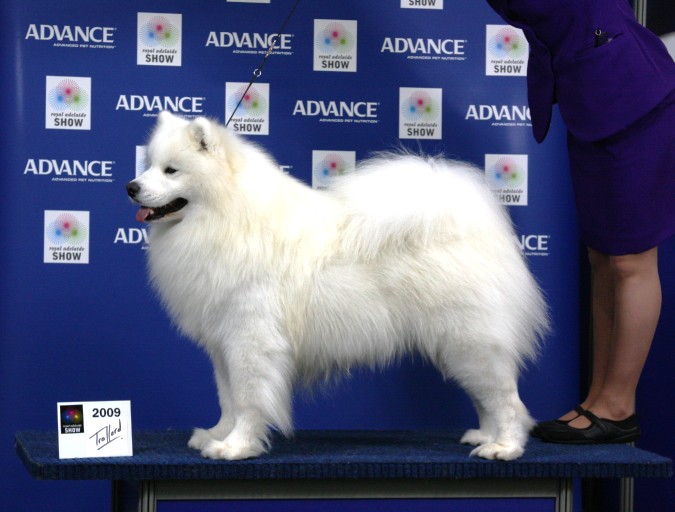 Adelaide Royal Show – September 2009