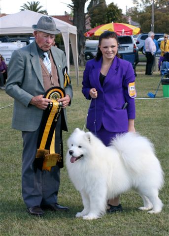 Top Breeder Recognition – dogzonline 2009