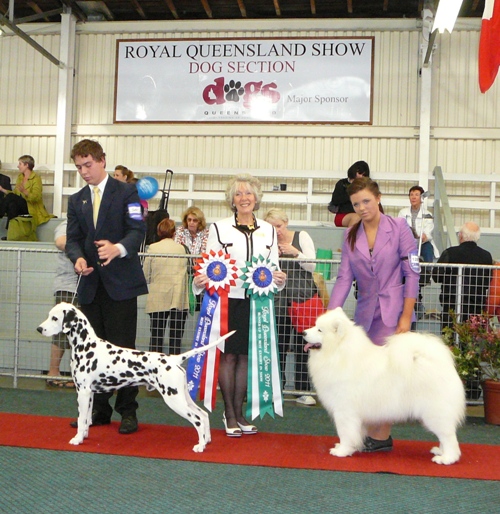 Reserve Best in Show – Brisbane Royal
