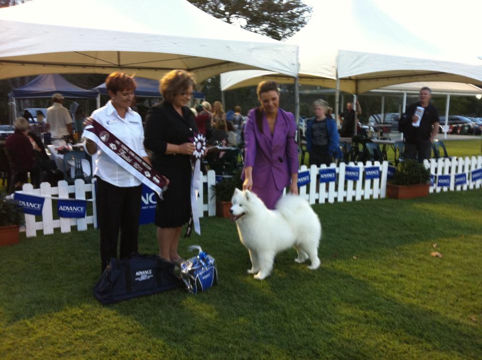 Jacqueline O’Riley Winning National Handlers