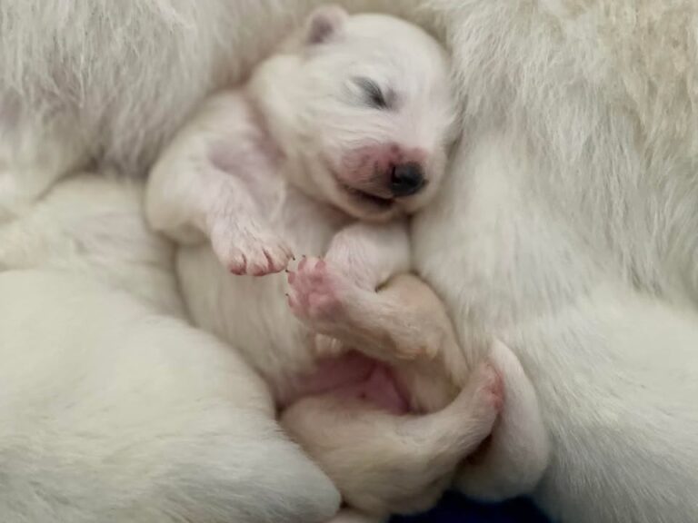 Time wasters 😂🥰 Love the 1 week old stage 💜