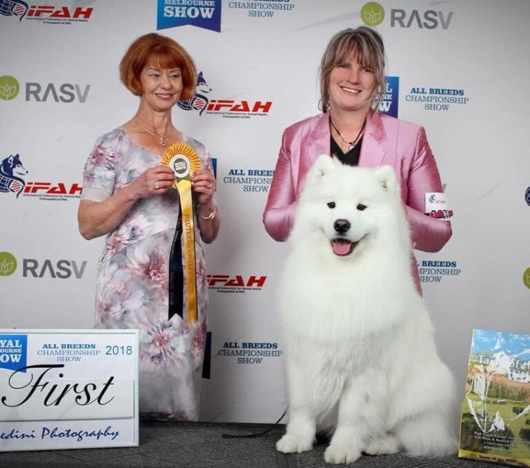 KALASKA Samoyeds will not be at The Royal Melbourne Show this year We haven’t missed…