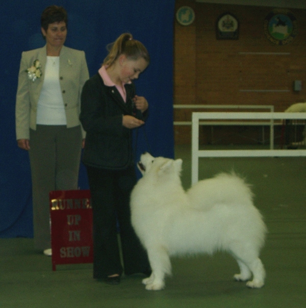 Samoyed Club of Victoria Open Parade 2005