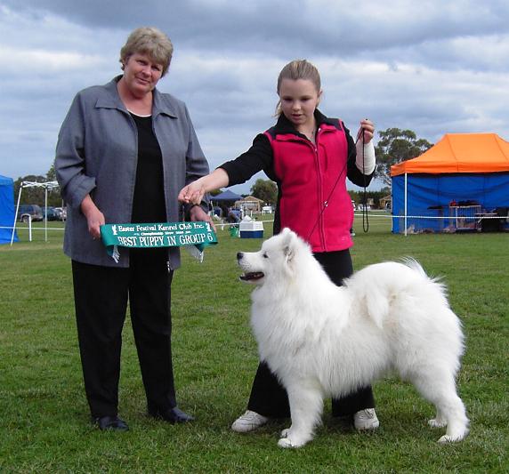 Easter Festival Kennel Club