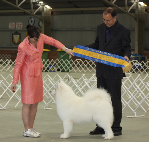 Cranbourne Dog Club