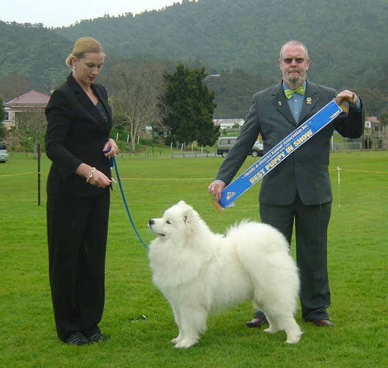 NZ Ch. Kalaska Astro Boy