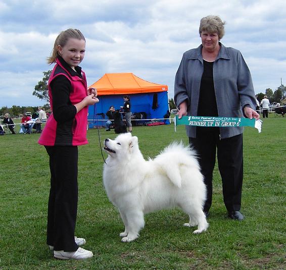 Easter Festival Kennel Club