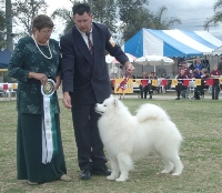 Samoyed National