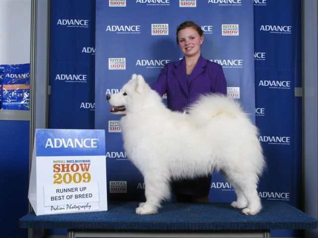 Melbourne Royal Show, September 2009