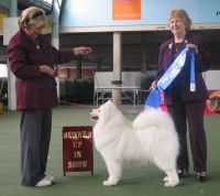 Samoyed Club of Victoria