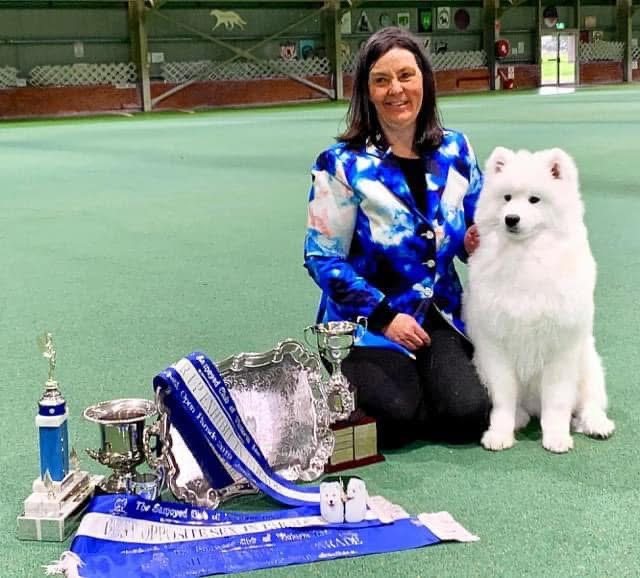 Christine Graham with her Samoyed Wizard
