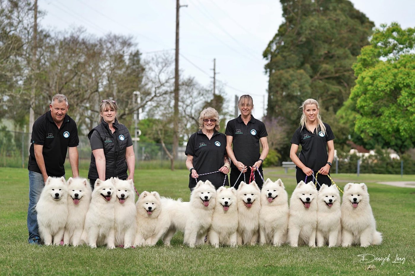 The Kalaska Samoyeds team