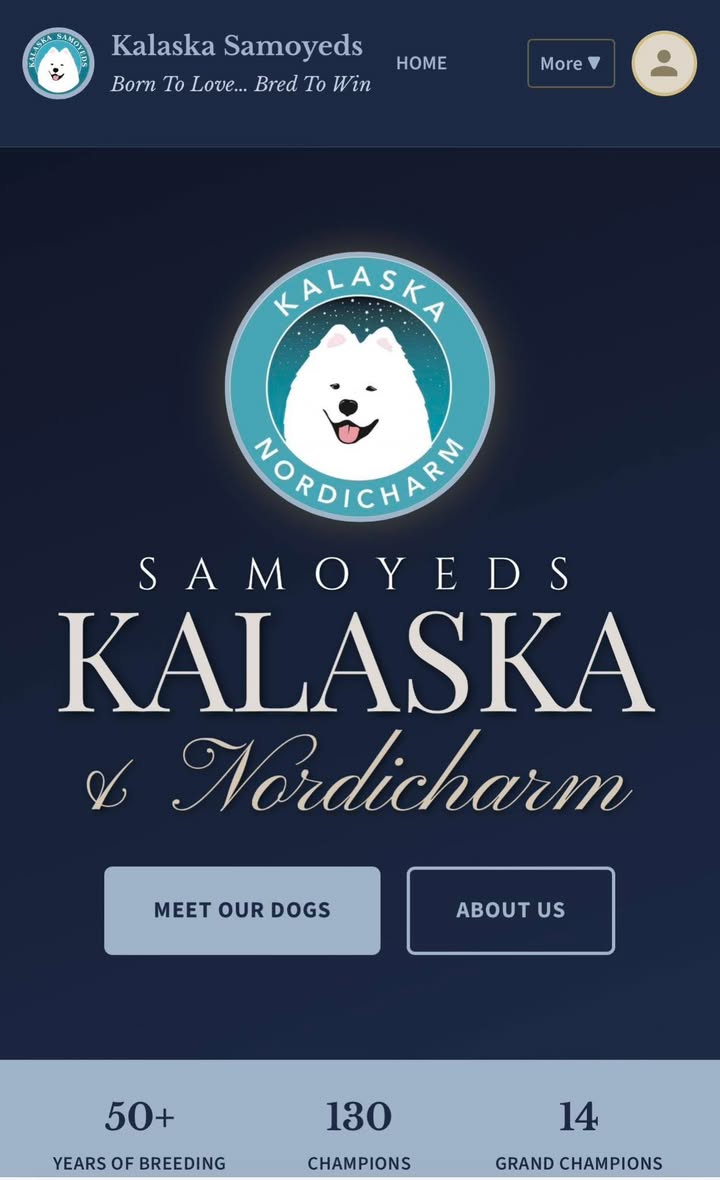 Check out our new updated web site at Kalaska.com Still lots to fix and work…