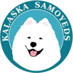 Kalaska Samoyeds logo