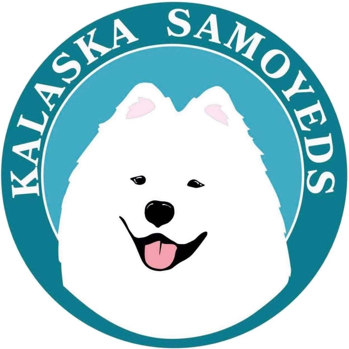 Kalaska Samoyeds logo