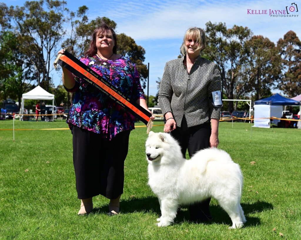 Morwell/Traralgon Kennel Club Inc (AM Show)
