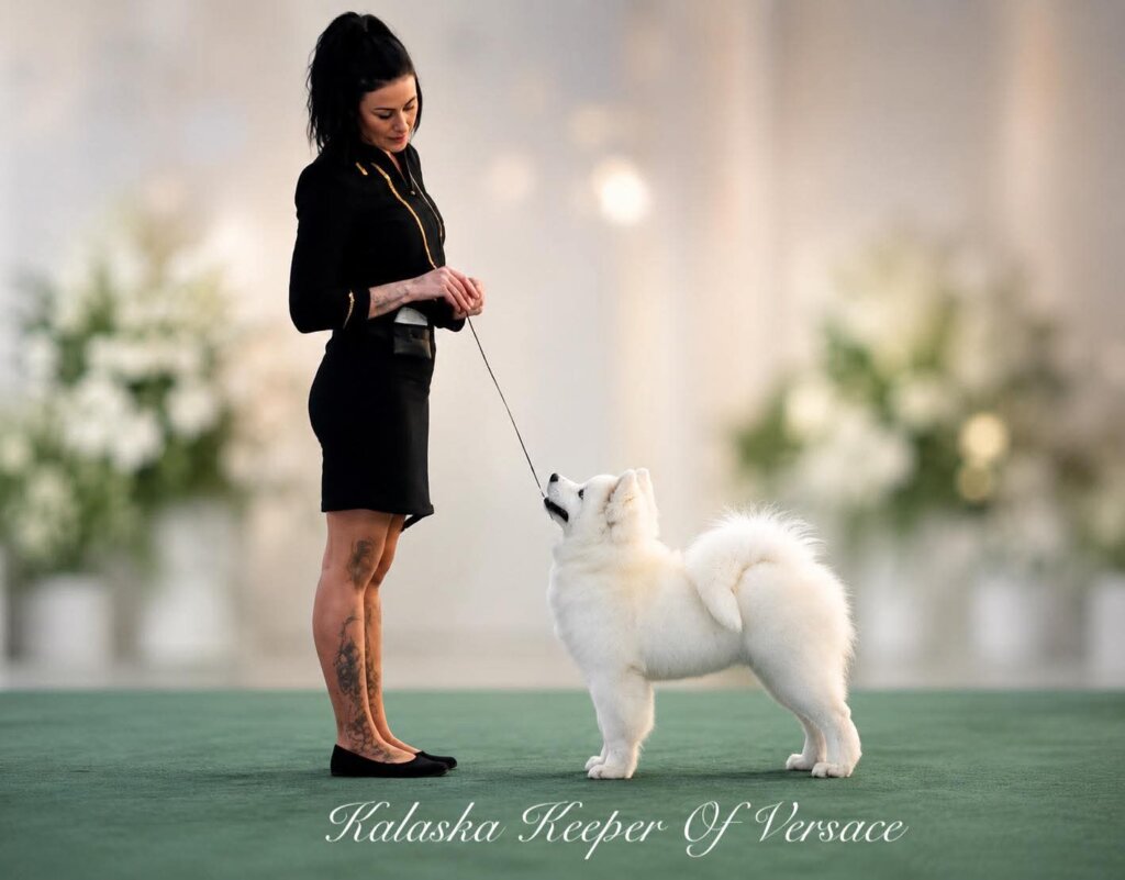 Victorian Poultry & Kennel Club Inc (PM Show)