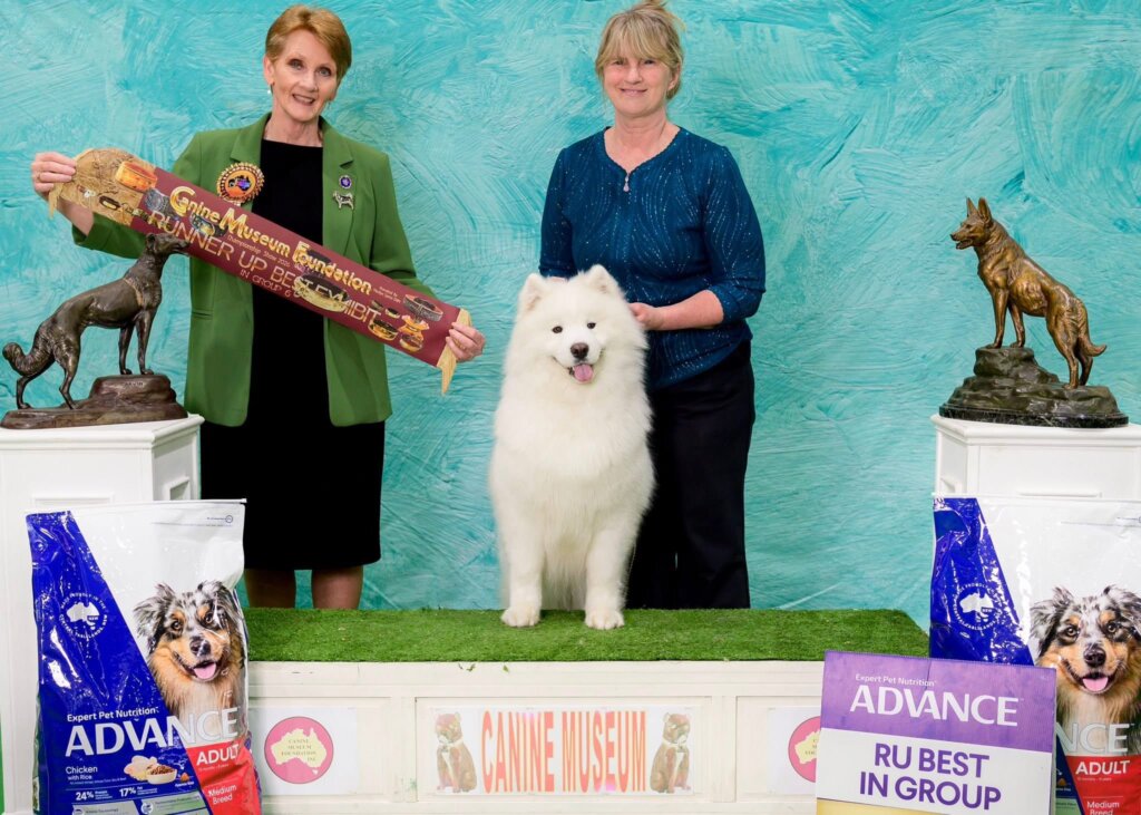 Canine Museum Foundation Inc (PM Show)