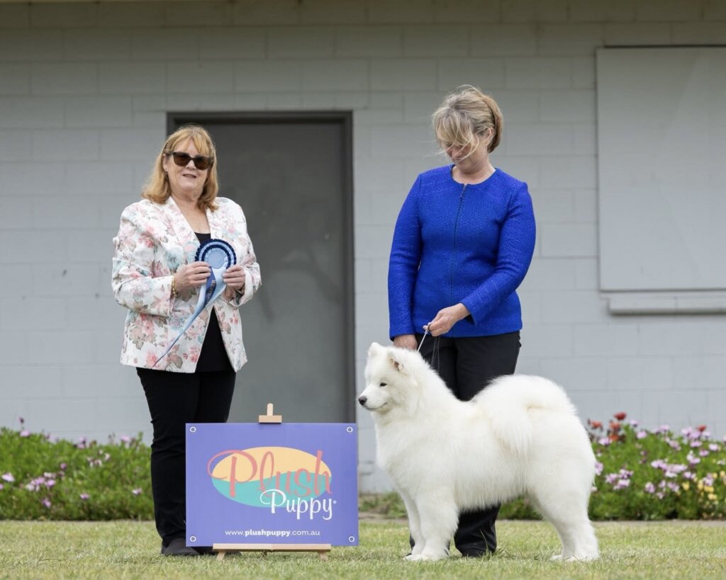 Western District Kennel Club (AM Show)