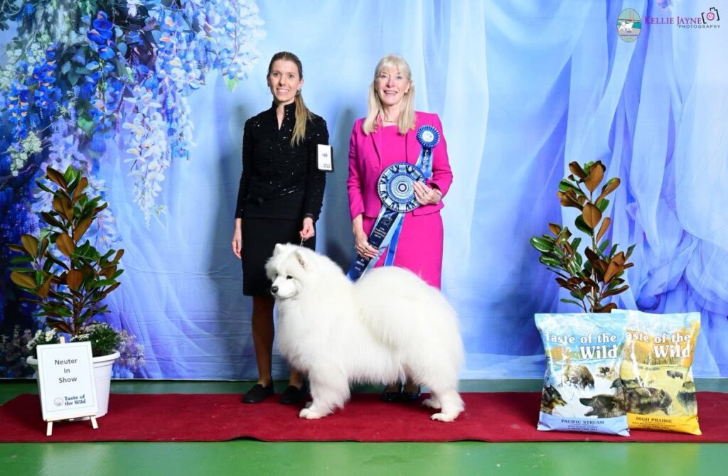 The Samoyed Club of Victoria Inc