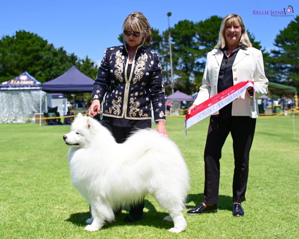 Spring Fair Championship Show