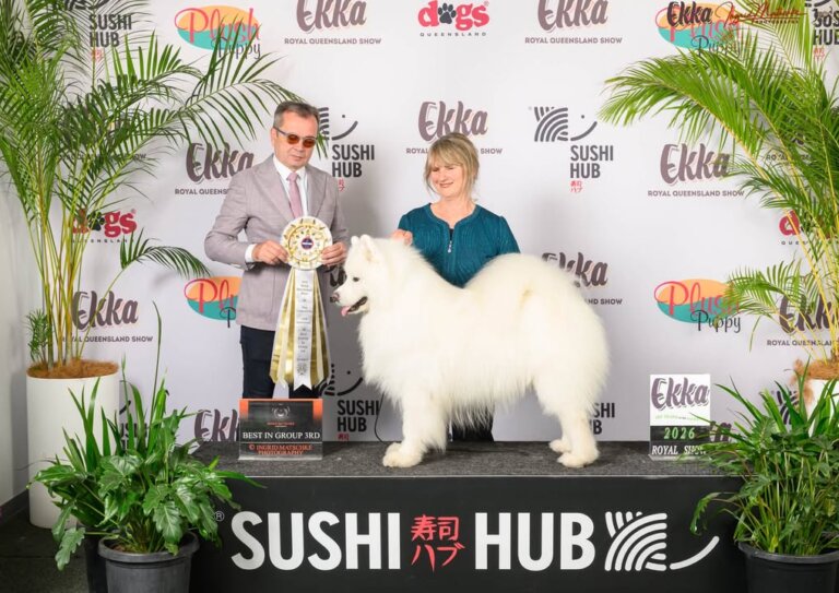 The Ekka Brisbane Royal Show 🏵️ Was an amazing weekend Lots of fun and amazing…