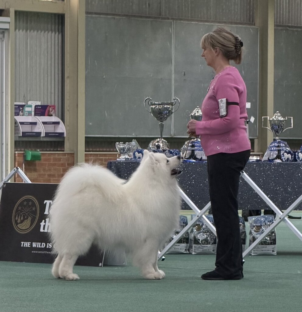 The Samoyed Club Of Victoria