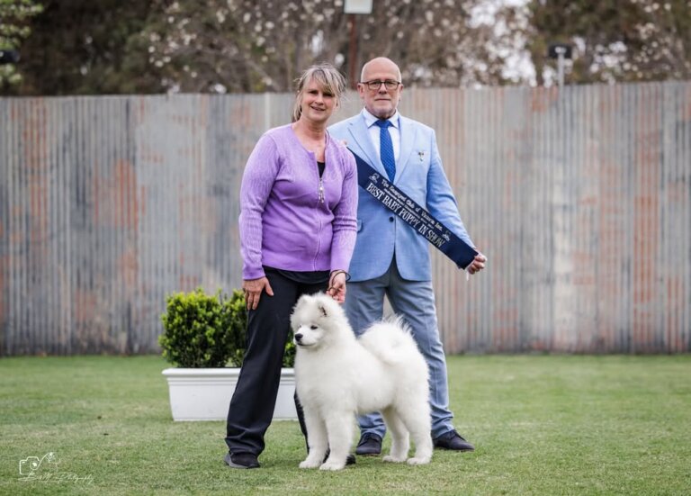We had a wonderful breed day at The melbourne Royal Show with Little Kalaska Vino…