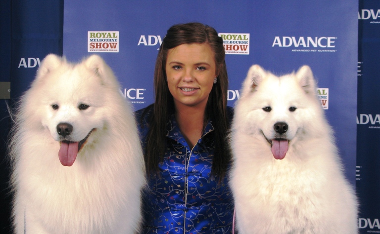 Aussie and Pink Royal Melbourne Show 2010 004Crop2