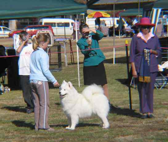 Jac.JPGJunior Handlers May 2005