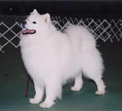 Jake