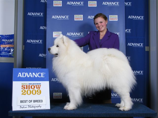 Aussie Melb Royal 2009