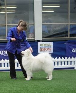 Cookie (5)crop Melb  Royal 2010