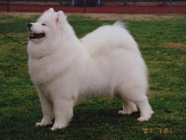 Gemma 22months