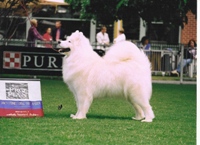 GemmaSydneyRoyalShowResults