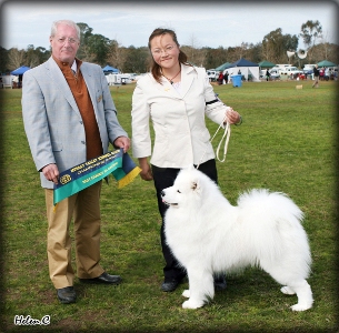Hades Albury 2009Crop