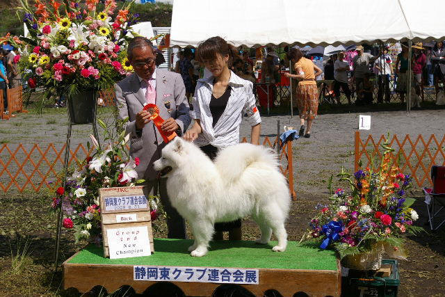 Kalaska Lucky Image Of Gem
