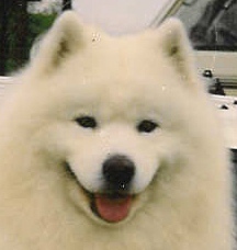 Monty3.jpgHead