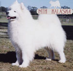 Nth_kalaska_small