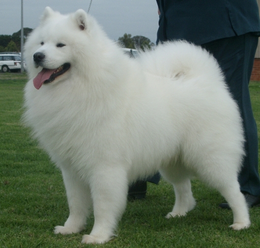 Tosh2YearsOldWeb2